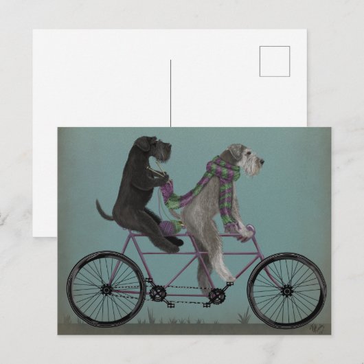 Schnauzer Tandem Postkarte (Vorne/Hinten)