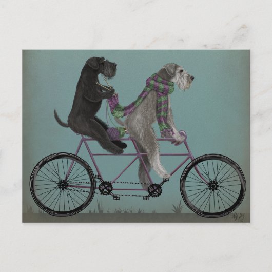 Schnauzer Tandem Postkarte (Vorderseite)