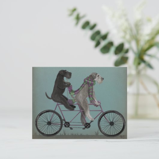 Schnauzer Tandem Postkarte (Stehend Vorderseite)