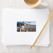 Schnauzer - Tin Tin Adressaufkleber (Insitu)