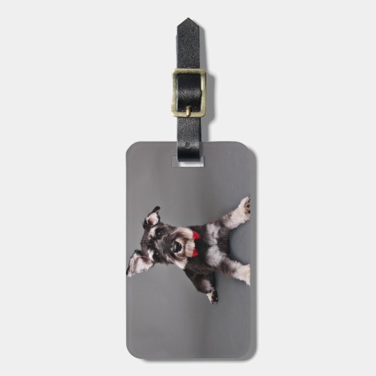 Schnauzer - Tom Dooley Gepäckanhänger (Vorderseite vertikal)