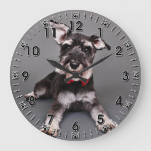 Schnauzer - Tom Dooley Große Wanduhr