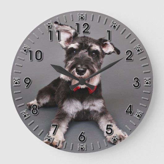 Schnauzer - Tom Dooley Große Wanduhr (Vorderseite)