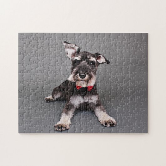 Schnauzer - Tom Dooley Puzzle (Horizontal)