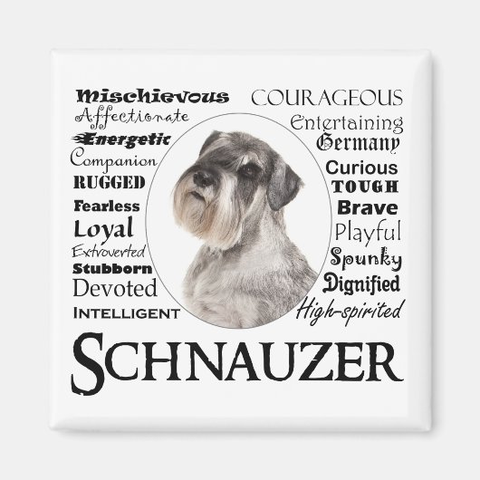 Schnauzer Tracks Magnet (Vorne)