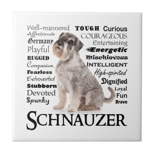 Schnauzer Tracks Tile Fliese (Vorderseite)