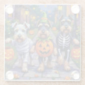Schnauzer Trick-or-Treating in Halloween Costumes Glasuntersetzer (Rückseite)
