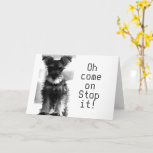 SCHNAUZER U SIEHT IMMER NOCH "49", WIE KÖNNEN SIE  KARTE