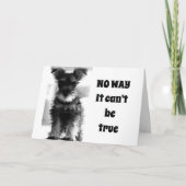 SCHNAUZER U SIEHT NOCH 69 NICHT "70!!!!!!" KARTE (Vorderseite)