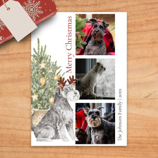 Schnauzer und Weihnachtsbaum Haustier Foto Feiertagskarte