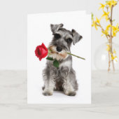 Schnauzer Valentin Karte (Gelbe Blume)