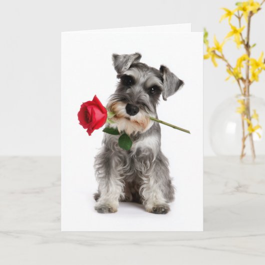 Schnauzer Valentine – Treue Liebe mit einer Rose Karte (Gelbe Blume)