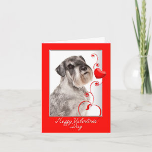 Schnauzer Valentine's Day Card Karte