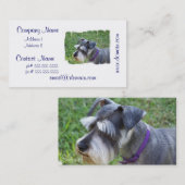 Schnauzer-Visitenkarten Visitenkarte (Vorne/Hinten)