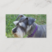 Schnauzer-Visitenkarten Visitenkarte (Rückseite)
