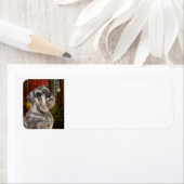 Schnauzer Weihnachts-Rücksendeadressen-Aufkleber (Insitu)