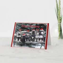 Schnauzer-Weihnachtskarte Feiertagskarte