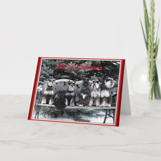 Schnauzer Weihnachtskarte Feiertagskarte (Vorderseite)