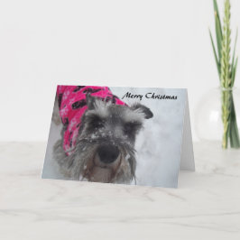 Schnauzer Weihnachtskarte Feiertagskarte