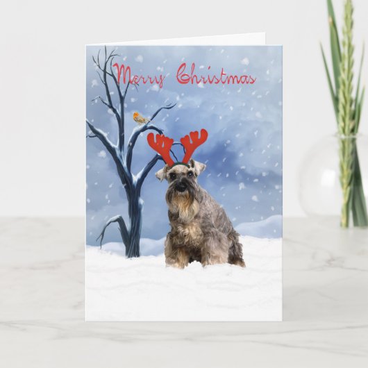 Schnauzer Weihnachtskarte - Schnauzer hat Rentiere Feiertagskarte (Vorderseite)