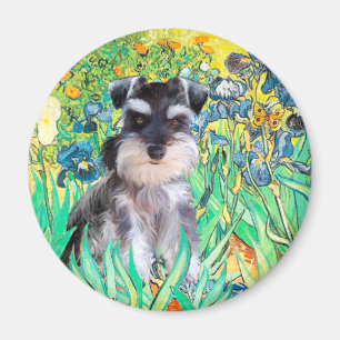 Schnauzer-Welpe 10Znat - Schwertlilien Magnet