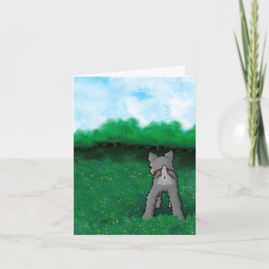 Schnauzer Welpe Fluffybutt Karte (Vorderseite)