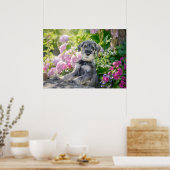 Schnauzer Welpe im blühenden Garten Poster (Küche)