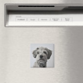 Schnauzer Welpe Portrait Foto Magnet (In Situ (Geschirrspüler))