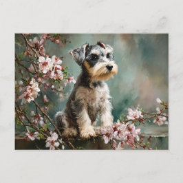 Schnauzer-Welpe zwischen Frühlings-Kirschblüten Postkarte