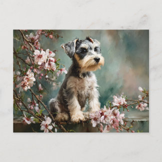 Schnauzer-Welpe zwischen Frühlings-Kirschblüten Postkarte