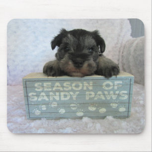 Schnauzer-WelpenMausunterlage Mousepad