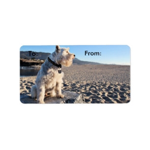 Schnauzer - Zinn-Zinn Adressaufkleber