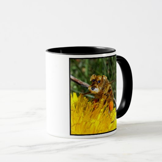 Schnauzerbee Tasse (VorderseiteRechts)