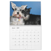 Schnauzers Kalender (Mär 2027)