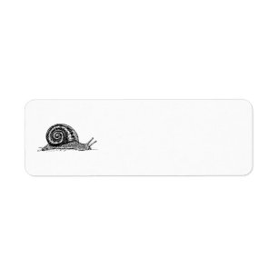 Schnecke