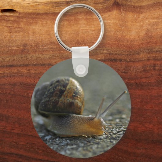 Schnecke 1 Schlüsselanhänger (Vorderseite)