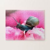 Schnecke auf Blume nah, Jigsaw Puzzle (Horizontal)