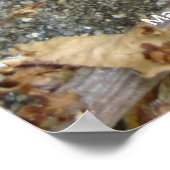 Schnecke auf der Strecke Poster (Ecke)