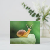 Schnecke auf einem Blatt Postkarte (Stehend Vorderseite)