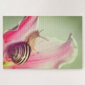 Schnecke auf einer Blume Petal Puzzle (Horizontal)