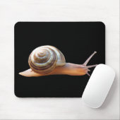 Schnecke auf schwarzem ~ mousepad (Mit Mouse)
