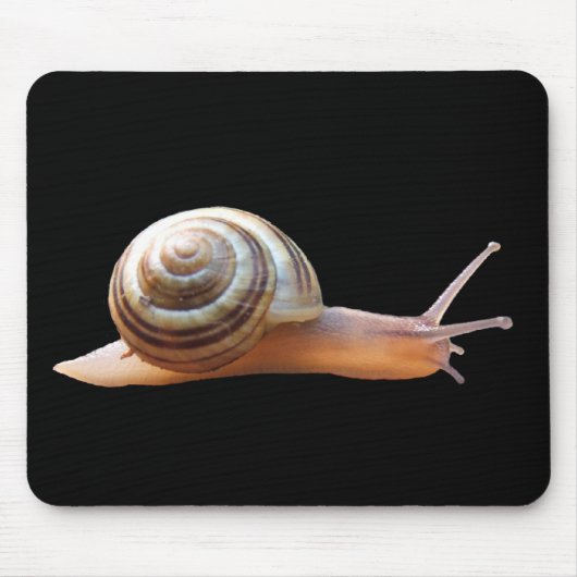 Schnecke auf schwarzem ~ mousepad (Vorne)