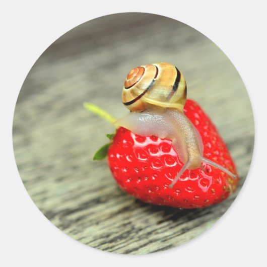 Schnecke auf Strawberry Runder Aufkleber (Vorderseite)