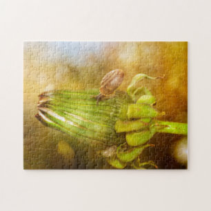 Schnecke auf Wanderung   ... Puzzle