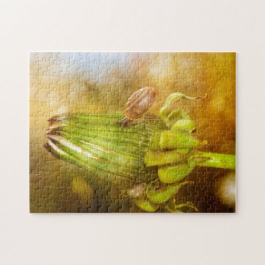 Schnecke auf Wanderung   ... Puzzle (Horizontal)