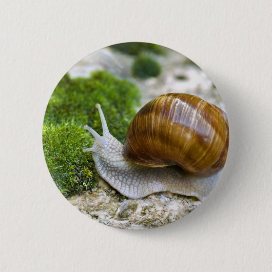 Schnecke aus Burgund Button (Vorderseite)