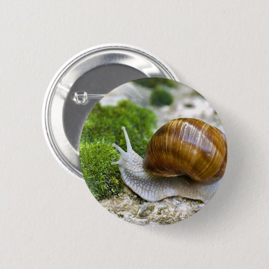 Schnecke aus Burgund Button (Vorne & Hinten)