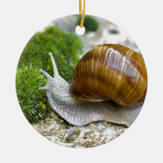 Schnecke aus Burgund Keramikornament (Vorne)