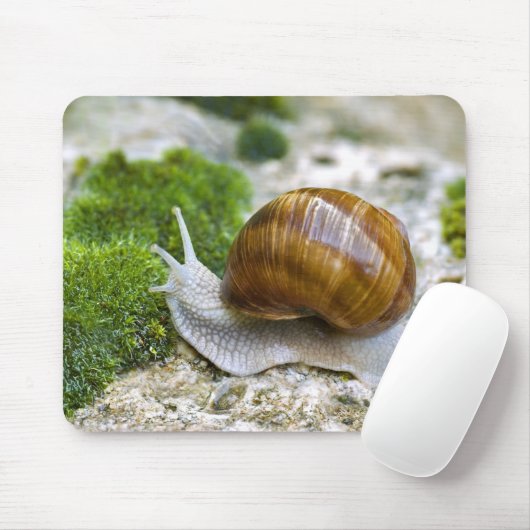 Schnecke aus Burgund Mousepad (Mit Mouse)