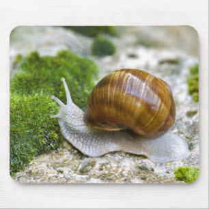 Schnecke aus Burgund Mousepad